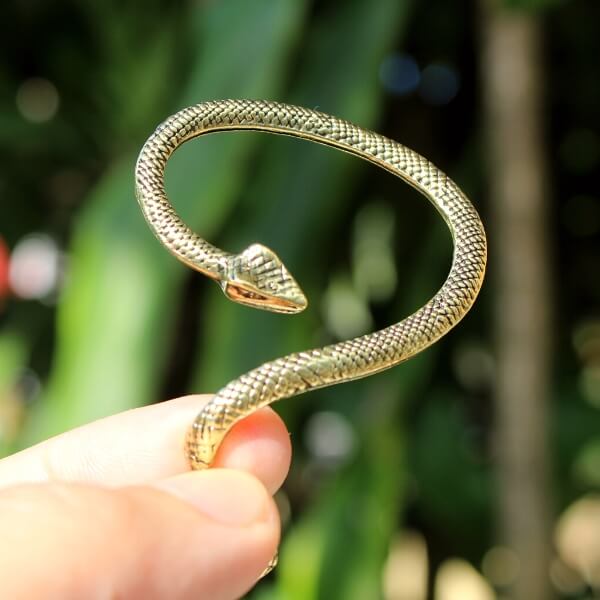 Brinco Ear Cuff de Serpente